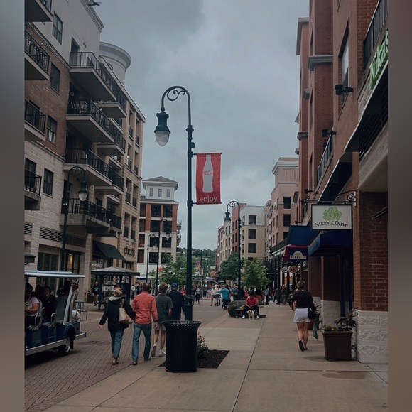 Meet your Posher, Drucilla - Picture 11 of 16